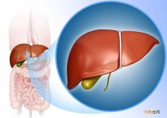如何保护肝脏最好方法
