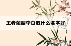 王者荣耀李白取什么名字好_王者荣耀给李白取个名字