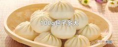 100g包子多大