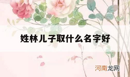 姓林儿子取什么名字好_姓林的男孩起什么名字好