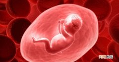 胎动经过哪三个时期 怀孕几个月会有胎动