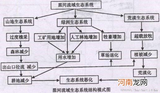 总结引起宫缩频繁的外在原因