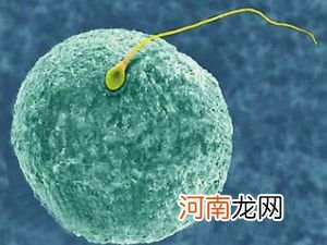 2天同房一次精子成熟吗