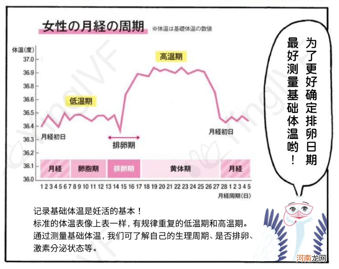 45岁女卵子质量怎么样