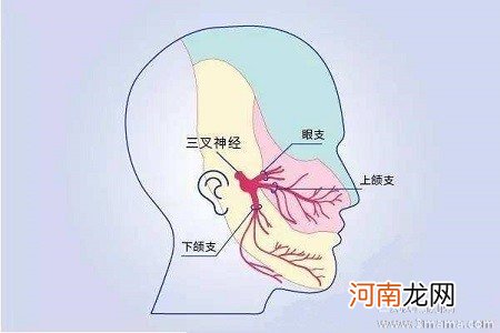 孕晚期牙神经痛怎么办