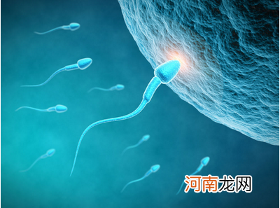 腰围越大精子越差，是吗