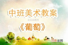 附教学反思 中班美术活动教案：葡萄教案