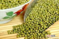 怀孕晚期可以吃绿豆吗