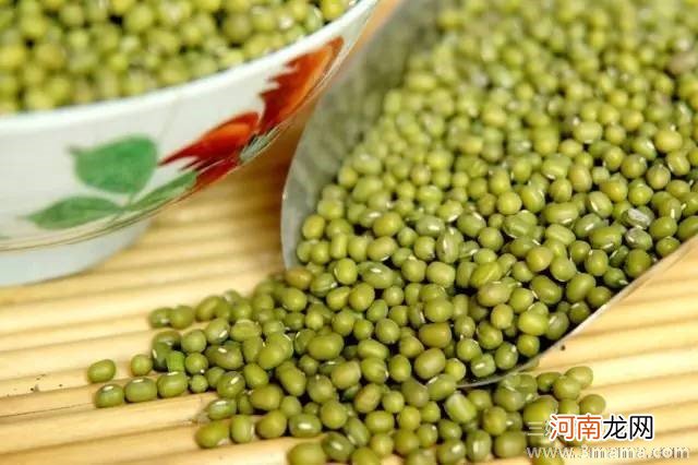 怀孕晚期可以吃绿豆吗