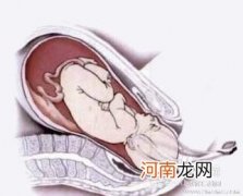 孕晚期胎心会变慢吗