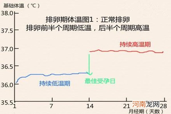 月经过后几天是排卵期 计算排卵期的四个方法