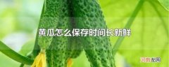 黄瓜怎么保存时间长新鲜