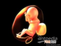 早孕反应对胎儿有什么影响