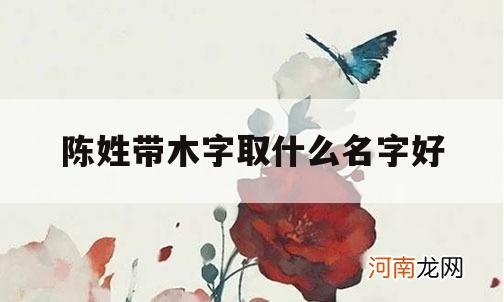 陈姓带木字取什么名字好_姓陈带木超级好听的名字男孩