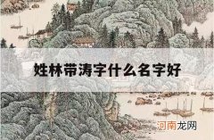 姓林带涛字什么名字好_名字带涛的