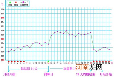 想怀孕 测测你的基础体温吧