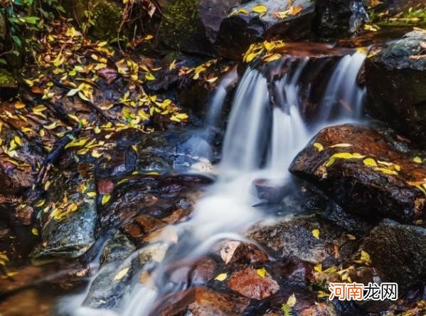 推荐杭州亲子郊游景点 杭州儿童必去十大景区