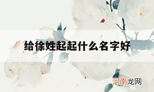 给徐姓起起什么名字好_姓徐可以起什么名字