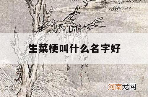 生菜梗叫什么名字好_生菜梗是什么