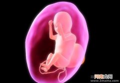 孕晚期吃什么好 孕晚期要注意给胎儿补脑