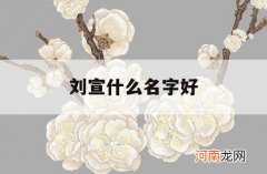 刘宣什么名字好_刘宣百度百科