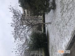 雪泥鸿爪形容什么 成语雪泥鸿爪是形容？