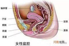 盆腔积液多少cm算正常 盆腔积液多少mm算正常范围