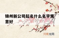 锦州新公司起名什么名字寓意好_锦晟公司名字寓意什么