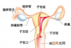 输卵管一般要通几次