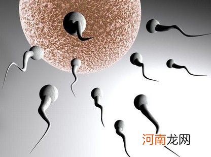 加快精子卵子约会步伐