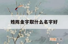 姓陈金字取什么名字好_姓陈金字旁的名字