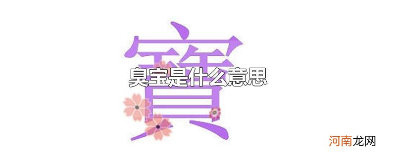 臭宝是什么意思