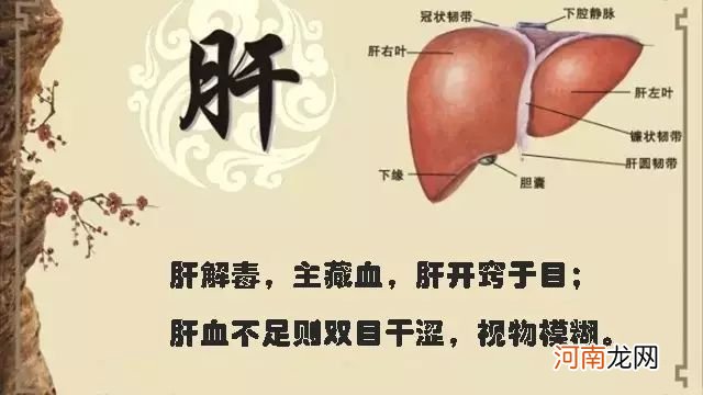 肝血不足吃什么好得快