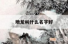 地龙叫什么名字好_地龙还有别的名字吗