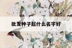 批发种子起什么名字好_做种子的公司起什么名字