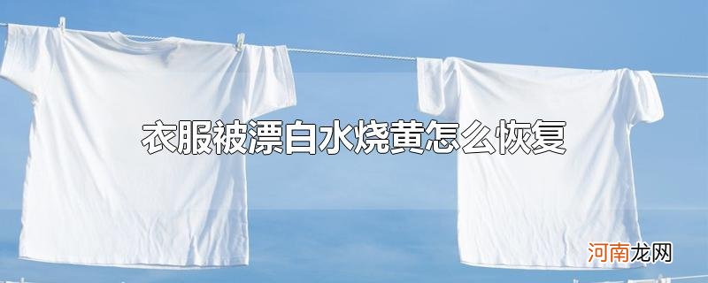 衣服被漂白水烧黄怎么恢复