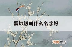 蛋炒饭叫什么名字好_蛋炒饭好听的别名