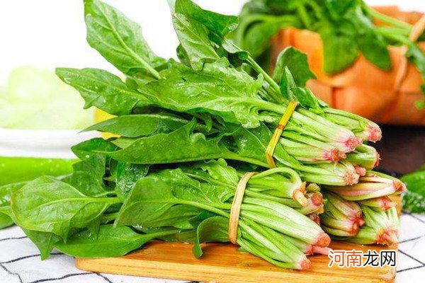 吃完菠菜千万别碰5种食物 不仅没营养还有毒