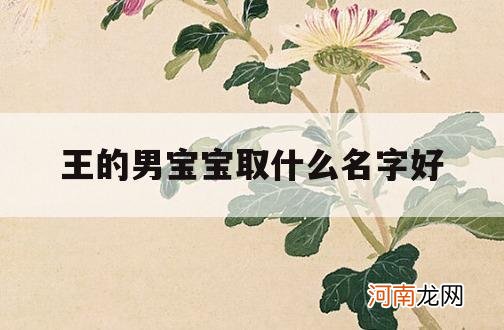 王的男宝宝取什么名字好_男孩名字王什么好听