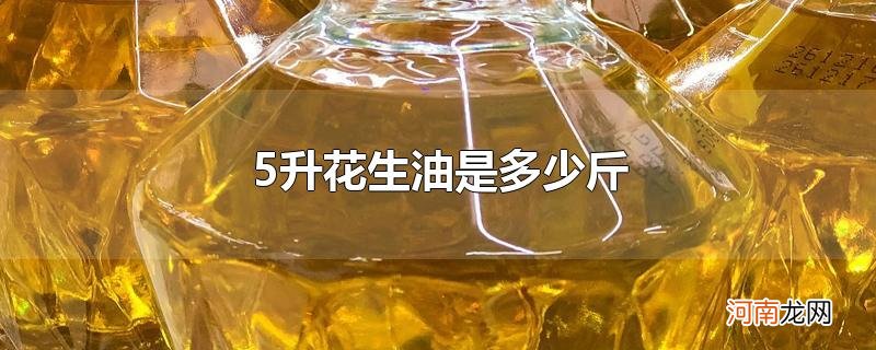 5升花生油是多少斤