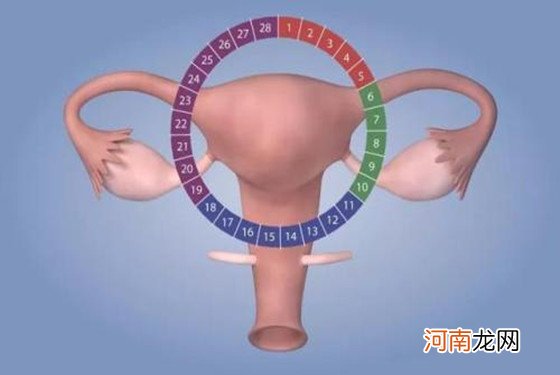 子宫内膜增厚的危害：贫血、不孕与癌变，你一个也惹不起