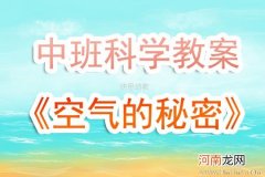 附教学反思 大班科学活动教案：空气的秘密教案