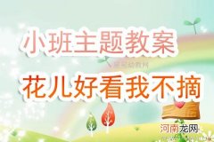 附教学反思 小班主题活动教案：花儿朵朵教案