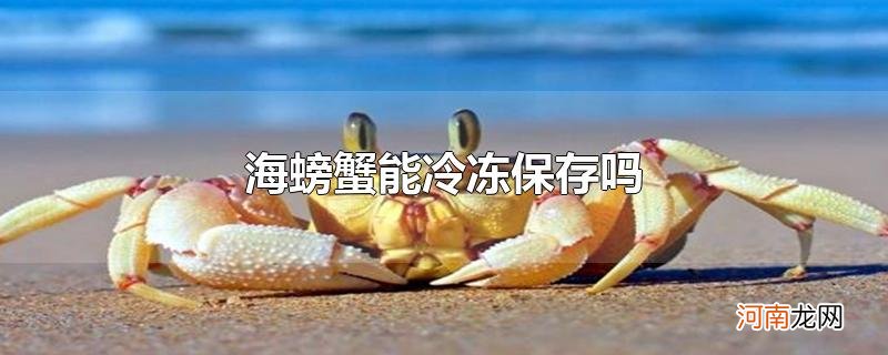 海螃蟹能冷冻保存吗