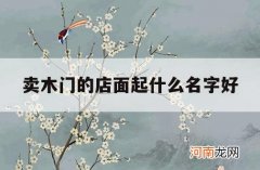 卖木门的店面起什么名字好_木制品店铺取什么样的名字好