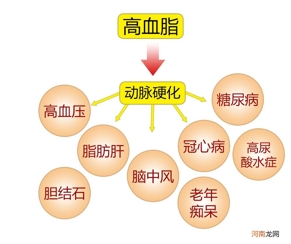 治疗高血脂的最佳方法