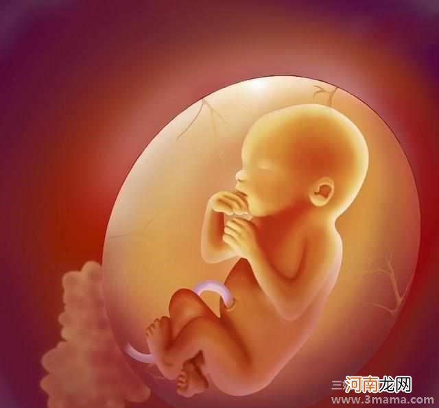 孕晚期胎儿偏大怎么办