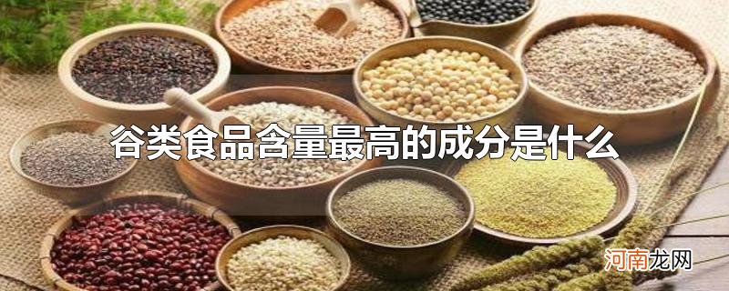 谷类食品含量最高的成分是什么