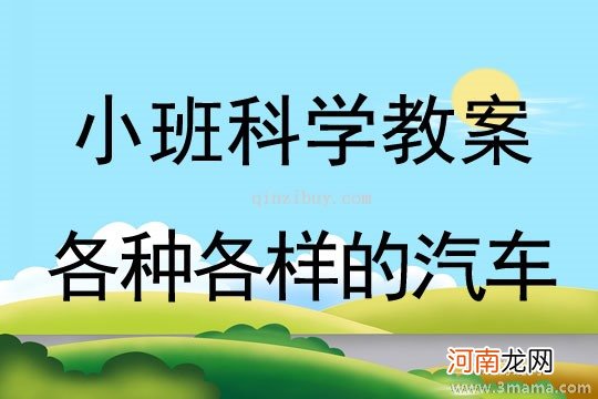 小班社会怪汽车教案反思