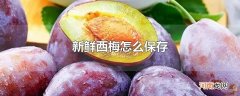 新鲜西梅怎么保存